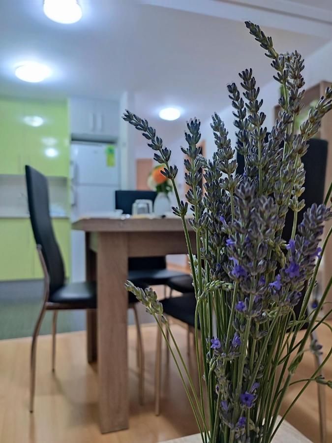 Apartamento Estrella De Teruel Dış mekan fotoğraf